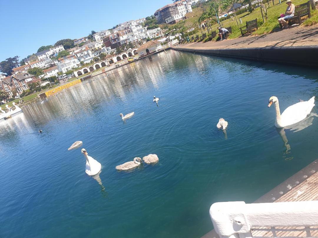 Sefton Lodge Seafront ,Panoramic Sea View Ensuite Balcony Rooms Available, Guest Garden Paignton Exterior photo