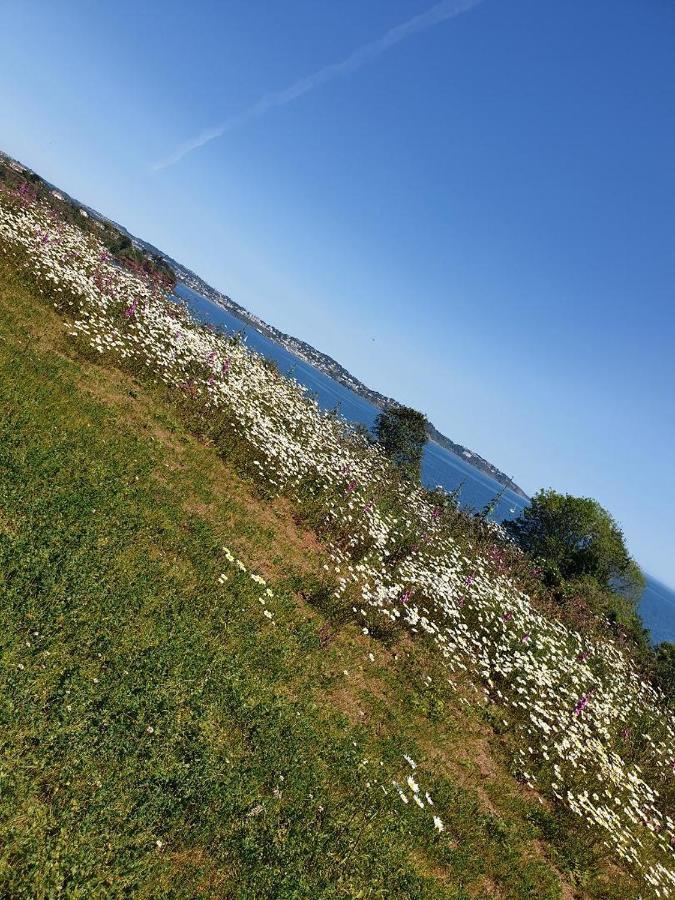 Sefton Lodge Seafront ,Panoramic Sea View Ensuite Balcony Rooms Available, Guest Garden Paignton Exterior photo